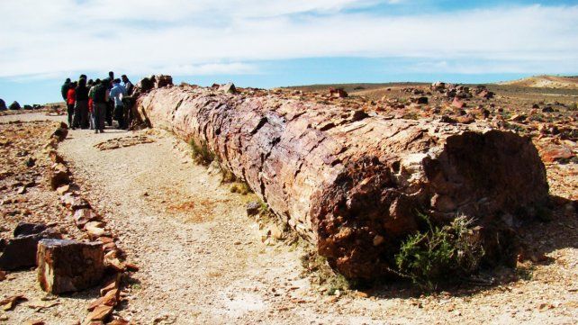 Turismo: La Pampa