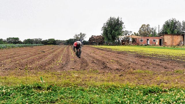 El préstamo tiene un plazo de 36 meses.