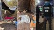 Hacinados, sin agua potable, ni instalaciones sanitarias: rescatan a 30 trabajadores en condiciones infrahumanas en Pozo Borrado