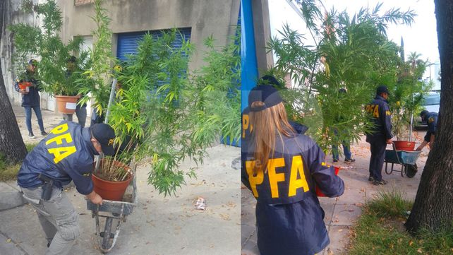 Detuvieron a un vendedor barrial de droga con pesos, dólares, euros, reales y un arma cargada