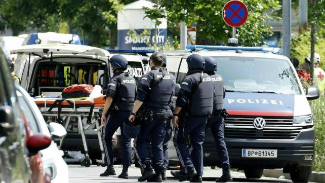 Diez muertos en una masacre en una escuela de Austria: la Policía identificó al asesino como un exestudiante