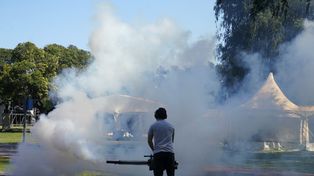 El municipio sigue fumigando espacios públicos y realiza tareas preventivas para contrarrestar la reproducción de mosquitos y la proliferación del Aedes Aegypti, vector del dengue.