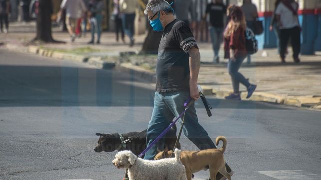 Coronavirus: se registraron 131 nuevos casos en Entre Ríos