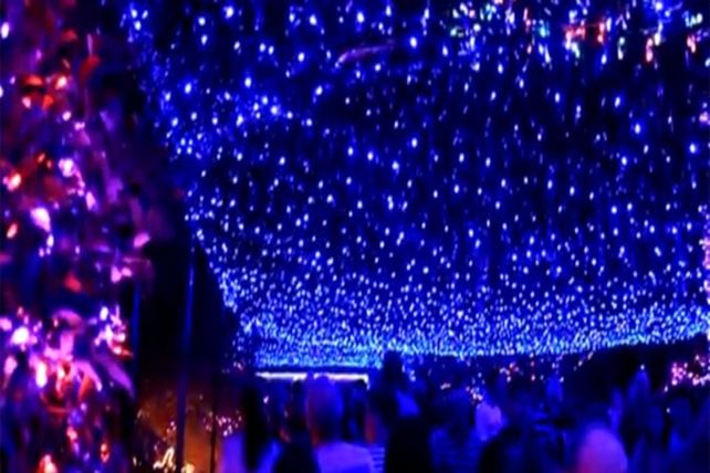 A brillar mi amor: una familia puso 300 mil luces en su casa
