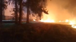 Incendio de pastizales y pinos en el Bosque de los Constituyentes. Actuaron dotaciones de Bomberos Zapadores y Voluntarios.&nbsp;