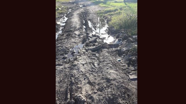 Piden fumigaciones en barrio Los Paraísos