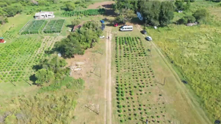 Vista aérea del campo ubicado en el kilómetro 19 de la ruta 1, en la comuna de Arroyo Leyes, donde se realizó el operativo policial.