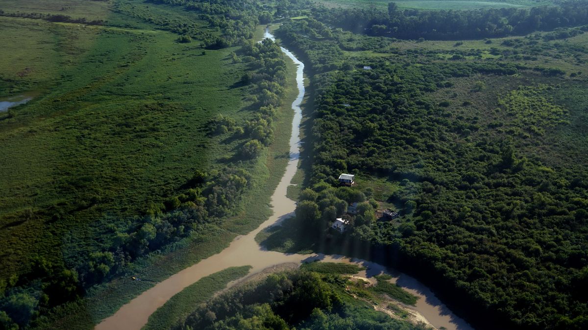 Más de 25 ONG alertan que los cambios en la ley de tierras forma parte de un "plan de remate de la Argentina"