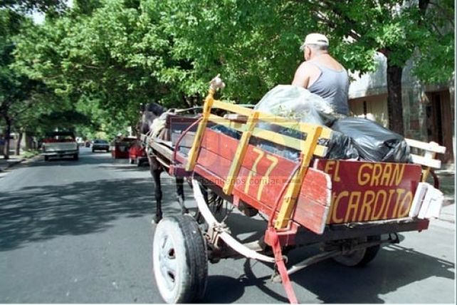 Promulgaron la prohibición de carros de tracción a sangre y la utilización de látigos contra animales
