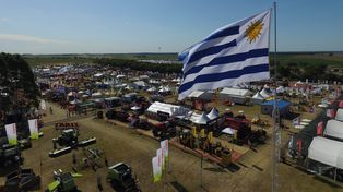 Expoactiva cuenta con más de 300 expositores y se presentan más de 750 marcas, consolidándose como la mayor muestra agroindustrial de Uruguay.