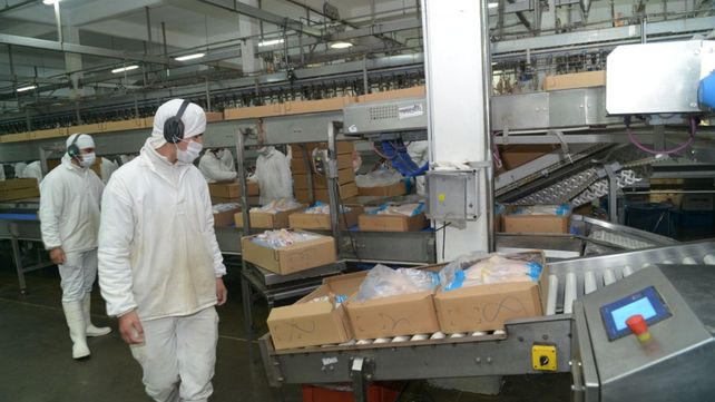 Apertura en Japón. La medida fortalece la presencia avícola argentina en un mercado de alto valor estratégico.