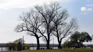 El tiempo en Rosario: nuevamente una jornada con fuertes ráfagas de viento