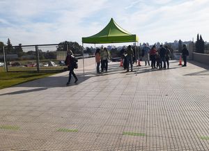 Covid-19: reportaron 43.487 contagios y 49 fallecimientos