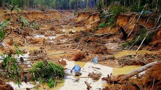 Brasil da marcha atrás y anulará un permiso a las mineras en el Amazonas