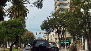 Este domingo Bulevar se convertirá en paseo peatonal con propuestas para toda la familia