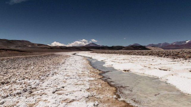 La compañía estadounidense Albemarle invertirá US$ 47 millones en una campaña de exploración de litio en la provincia de Catamarca que proyecta generar 200 puestos de trabajo este año.