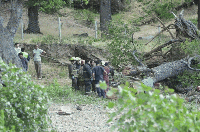 Los bomberos y socorristas de la zona de San Martín de los Andes trabajan en el lugar del accidente.