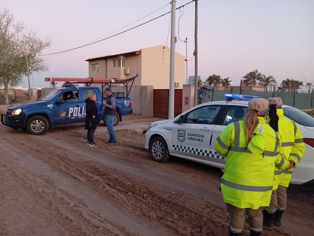 Roldán: le abrieron una causa judicial al dueño de los pitbulls que atacaron a otras mascotas