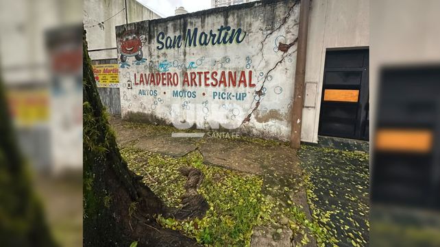Un lapacho añejo genera temor en barrio Fomento 9 de Julio: levantó veredas y fisuró paredes de viviendas
