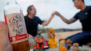 Caña con ruda para atraer la salud y la suerte, y alejar los maleficios