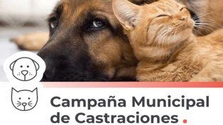 Campaña de castraciones Santo Tomé