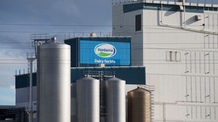 La principal comercializadora de lácteos del mundo que quiere ser socia de SanCor