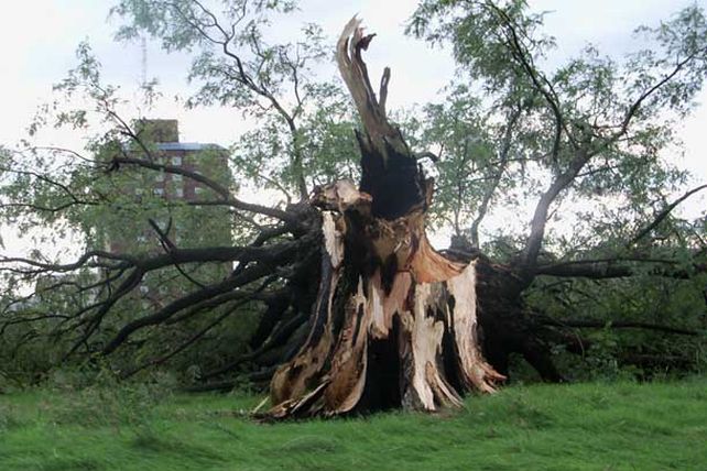 Llegó la lluvia y provocó destrozos: sigue el alerta por tormentas fuertes