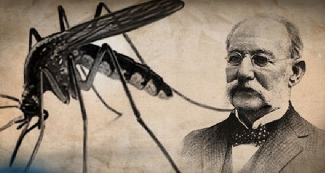 Carlos Finlay descubrió que la picadura del mosquito llamado Aedes Aegypti podía transmitir la fiebre amarilla.