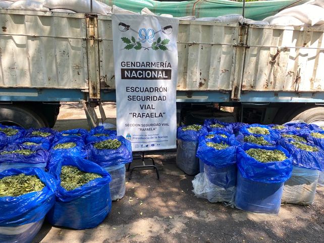 La coca estaba disimulada entre bolsas de porotos.