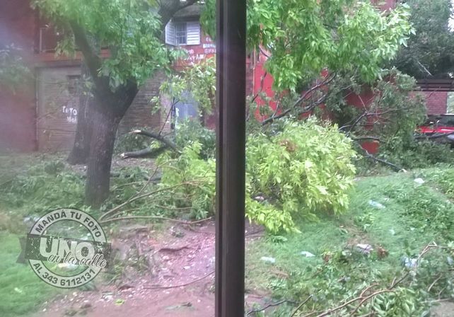 Terrible temporal de lluvia y viento generó graves destrozos en Paraná