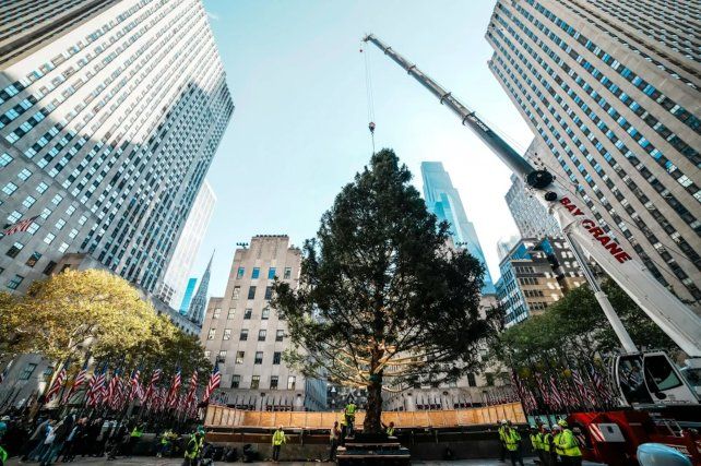 La Nochebuena está a un paso: el Rockefeller Center ya tiene su árbol de Navidad