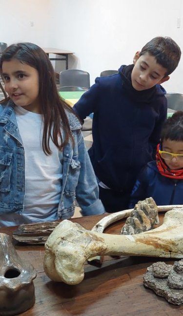 Descubriendo el pasado: niñas y niños se convirtieron en arqueólogos y paleontólogos por un día