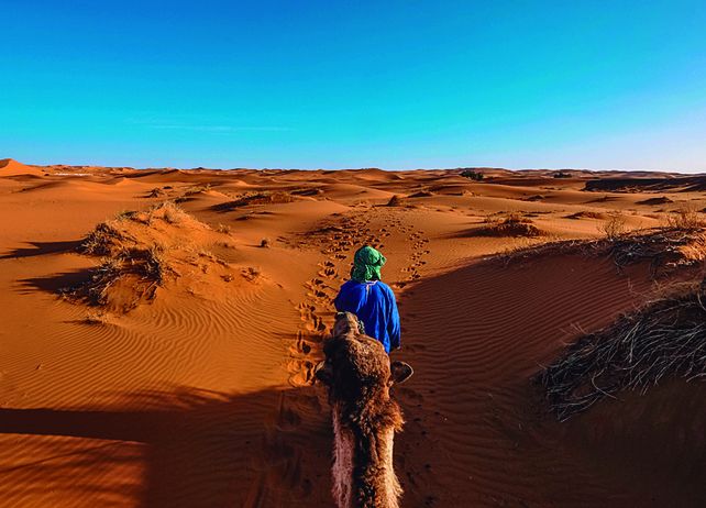 El desierto del Sahara ofrece paisajes icónicos con dunas, paseos en camello al atardecer y cielos estrellados.