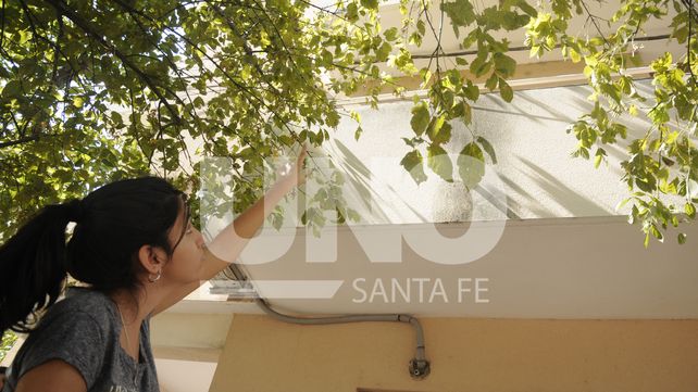 Por la madrugada. El hombre araña llegó hasta el segundo piso y logró ingresar a la vivienda.&nbsp;