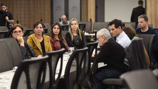 Familiares en la comisión que investiga el caso de fentanilo adulterado. El próximo martes estarán en Rosario.