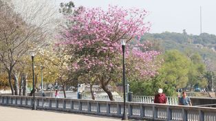 Entre Ríos: fin de semana con temperaturas agradables