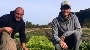 Nicolás Abreu y Nicolás Martino llevan adelante el proyecto hortícola en Arequito.