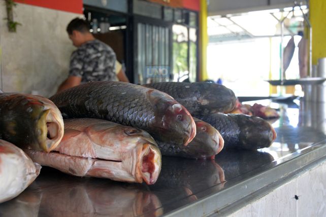pescados-5jpg