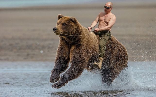 ¿Oso adiestrado? ¿fotomontaje y meme? Lo cierto es que la imagen es parte del seminario gratuito De Putín con amor