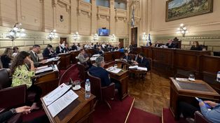 La creación del nuevo Régimen Provincial de Iniciativa Privada fue aprobado en el Senado santafesino.
