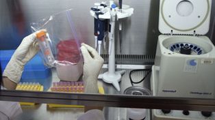 Seg&uacute;n la OMS, los casos de gripe A suman 8.451 y ya hay 72 muertos