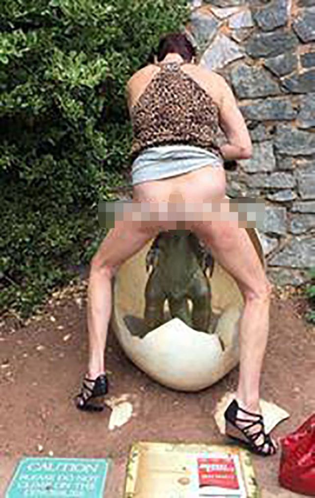 Una mujer fue fotografiada teniendo relaciones sexuales con un juego para chicos Una mujer fue fotografiada teniendo relaciones sexuales con un juego para chicos