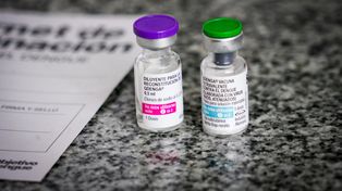 Dengue en Santa Fe: ya se colocaron casi 120.000 dosis de la vacuna