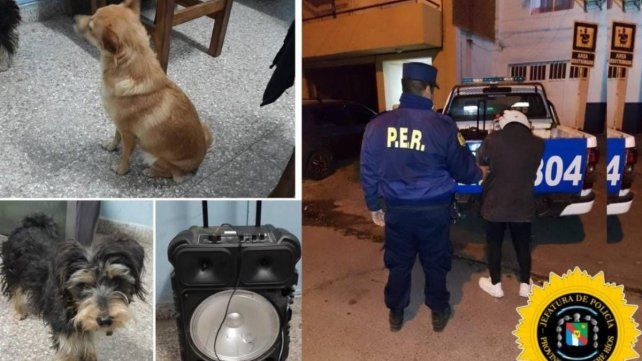 Paraná: detuvieron a dos personas por robar perros y un parlante