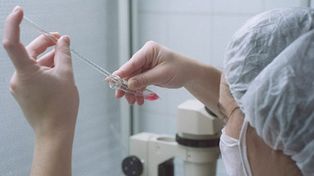Iapos presentó el programa de fertilización asistida para afiliados