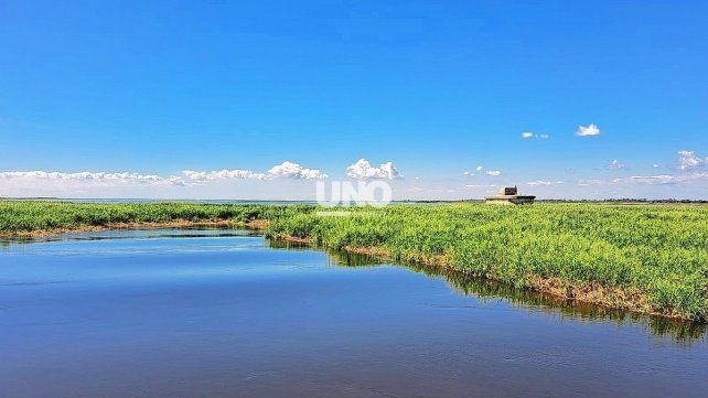 El municipio acompaña a los autoconvocados náuticos en sus trabajos por lograr generar un canal de acceso entre el gran embalsado que divide la laguna Setúbal. El municipio acompaña a los autoconvocados náuticos en sus trabajos por lograr generar un canal de acceso entre el gran embalsado que divide la laguna Setúbal.