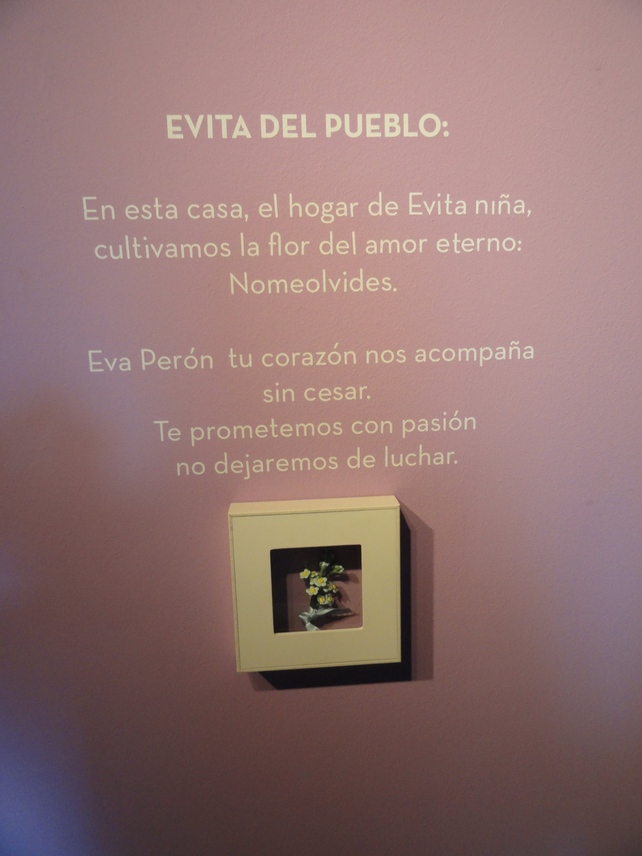 Aunque hoy suene irreal, los peronistas estuvieron proscriptos y perseguidos durante 18 años. Para reconocerse entre sí, usaban la flor de Nomeolvides; presente en todo el Museo.