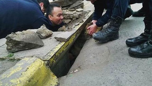 Conmovedor rescate a un perro atrapado en una alcantarilla