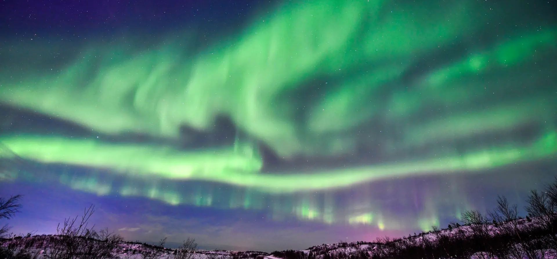 Múrmansk, Rusia. La aurora boreal surca el cielo sobre la tundra forestal en el noroeste del Ártico.