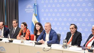 Constitucionalistas expusieron sus razones para rechazar el megadecreto de Milei.